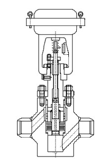 13-tjf-1.jpg